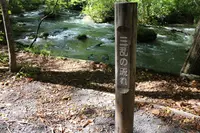 奥入瀬の写真・動画_image_244591