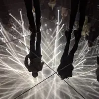 【閉業】森ビルデジタルアートミュージアム：エプソン チームラボボーダレス（MORI Building Digital Art Museum: EPSON teamLab Borderless）の写真・動画_image_244606