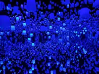 【閉業】森ビルデジタルアートミュージアム：エプソン チームラボボーダレス（MORI Building Digital Art Museum: EPSON teamLab Borderless）の写真・動画_image_244610
