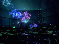【閉業】森ビルデジタルアートミュージアム：エプソン チームラボボーダレス（MORI Building Digital Art Museum: EPSON teamLab Borderless）の写真・動画_image_244612