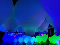【閉業】森ビルデジタルアートミュージアム：エプソン チームラボボーダレス（MORI Building Digital Art Museum: EPSON teamLab Borderless）の写真・動画_image_244621
