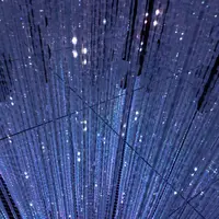 【閉業】森ビルデジタルアートミュージアム：エプソン チームラボボーダレス（MORI Building Digital Art Museum: EPSON teamLab Borderless）の写真・動画_image_244622
