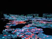 【閉業】森ビルデジタルアートミュージアム：エプソン チームラボボーダレス（MORI Building Digital Art Museum: EPSON teamLab Borderless）の写真・動画_image_244623