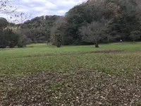 神奈川県立金沢文庫の写真・動画_image_244666
