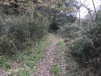 神奈川県立金沢文庫の写真・動画_image_244690