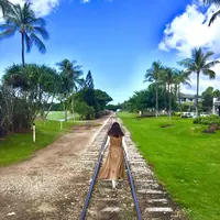 アイランド ヴィンテージ コーヒーの写真・動画_image_245057