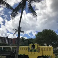 アイランド ヴィンテージ コーヒーの写真・動画_image_245058