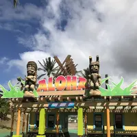 Wet'n'Wild Hawaiiの写真・動画_image_245077