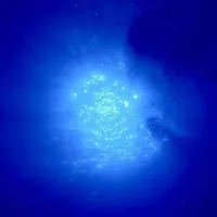 Sunshine Scubaの写真・動画_image_245090