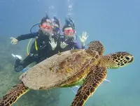 Sunshine Scubaの写真・動画_image_245092