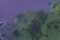 Sunshine Scubaの写真・動画_image_245093