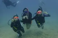 Sunshine Scubaの写真・動画_image_245096