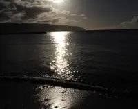 North Shore Shark Adventuresの写真・動画_image_245123