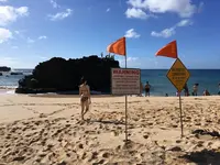 ワイメア・ベイ・ビーチの写真・動画_image_245126