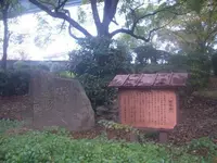 天保山公園の写真・動画_image_24519