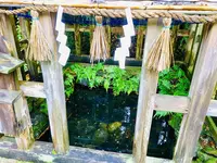 須佐神社の写真・動画_image_245191