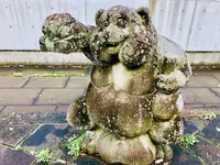 来待ストーンの写真・動画_image_245201