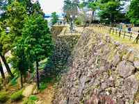 松江城の写真・動画_image_245235