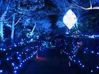 由志園の写真・動画_image_245256