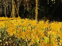 由志園の写真・動画_image_245261