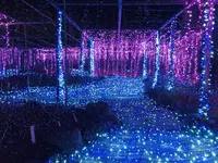 由志園の写真・動画_image_245262