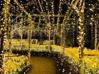由志園の写真・動画_image_245263