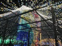 由志園の写真・動画_image_245264