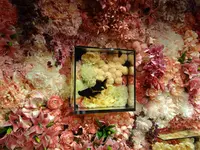 奈良金魚ミュージアムの写真・動画_image_245347