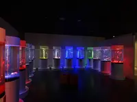 奈良金魚ミュージアムの写真・動画_image_245349