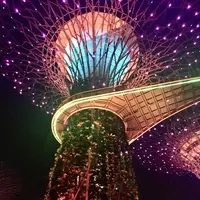 ガーデンズ・バイ・ザ・ベイの写真・動画_image_245488