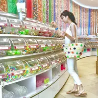セントサ島の写真・動画_image_245528