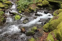 木谷沢渓流の写真・動画_image_245989