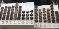 ミシャラクの写真・動画_image_246092