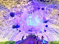 時之栖駐車場の写真・動画_image_246194