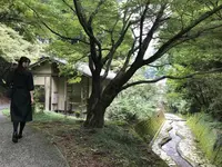伊万里大川内山の写真・動画_image_246285