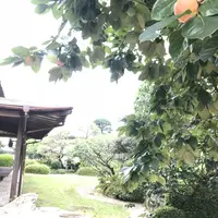 柿右衛門窯（柿右衛門古陶磁参考館）の写真・動画_image_246289