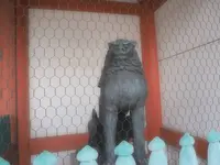 津観音の写真・動画_image_246361