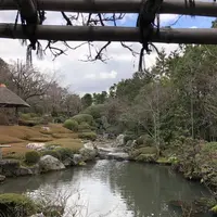 妙心寺の写真・動画_image_246405