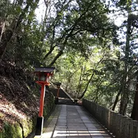 鞍馬寺の写真・動画_image_246406