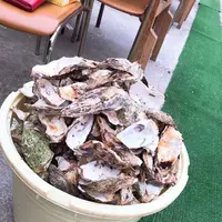 モトかき養殖場の写真・動画_image_246609