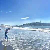 湘南の写真・動画_image_246721