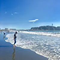 湘南の写真・動画_image_246724