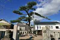 猪子石神明社の写真・動画_image_247295
