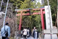 來宮神社の写真・動画_image_247406