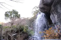 熱海梅園の写真・動画_image_247409