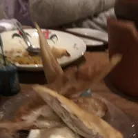 バンコク食堂 アロイチンチンの写真・動画_image_247487