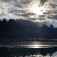 富士本栖湖リゾートの写真・動画_image_247502