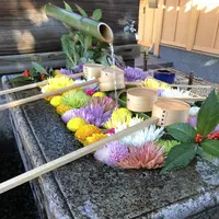 勝林寺の写真・動画_image_247582