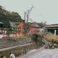 下鴨神社（賀茂御祖神社）の写真・動画_image_247589