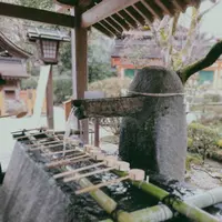 上賀茂神社（賀茂別雷神社）の写真・動画_image_247603